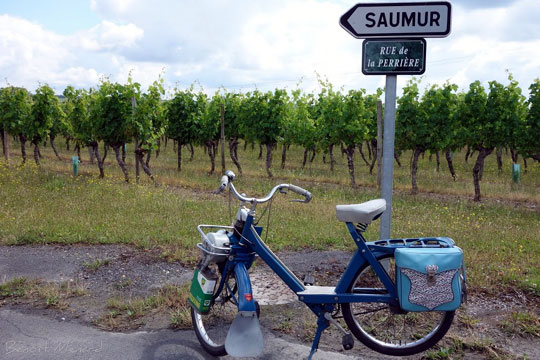 La traversée du vignoble de Saumur